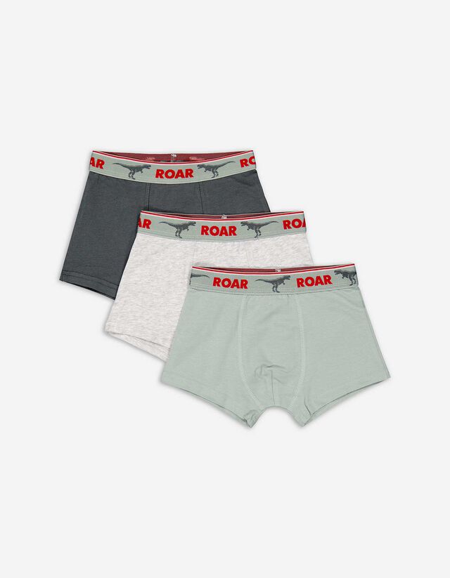 Slip da uomo - Confezione da 3 pezzi