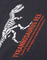 Bluză de corp cu mânecă lungă - Imprimeu cu dinozauri - Gri inchis