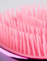 Borstel - Kleurverloop - pink