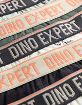 Priliehav&eacute; boxerky - 5 ks v balen&iacute;