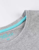 T-s&auml;rk - motiiv - hall