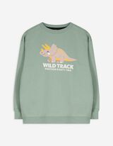 Pulover - Potisk - svetlo modra