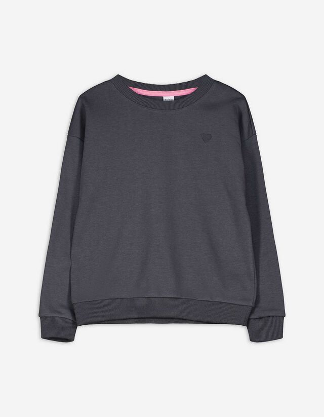 Sweatshirt - Stickereien - dunkelgrau