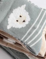 Calze - Confezione da 5 pezzi