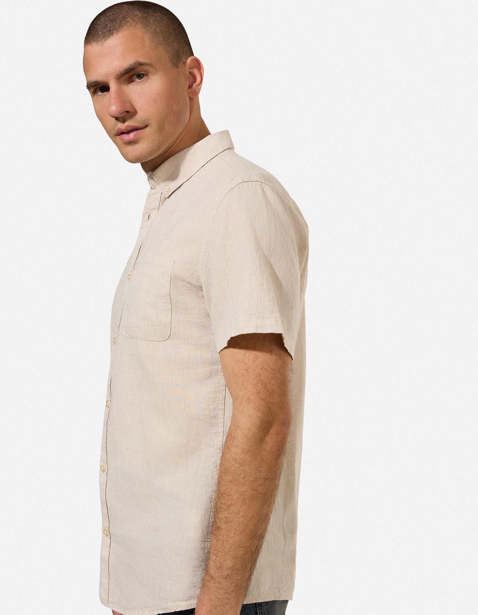 S&auml;rk - linasegu - beezh