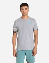 T-s&auml;rk - motiiv - hall