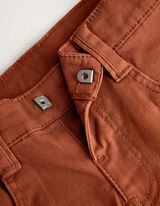 Farmerice - Skinny model - braon