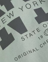 T-shirt - Vooropdruk - lichtgroen