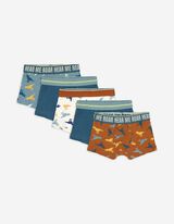 Trunks - 5er-Pack