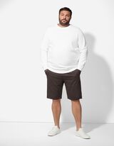 Shorts - Regular Fit - hellbraun