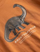 Shirt - Frontprint - orange