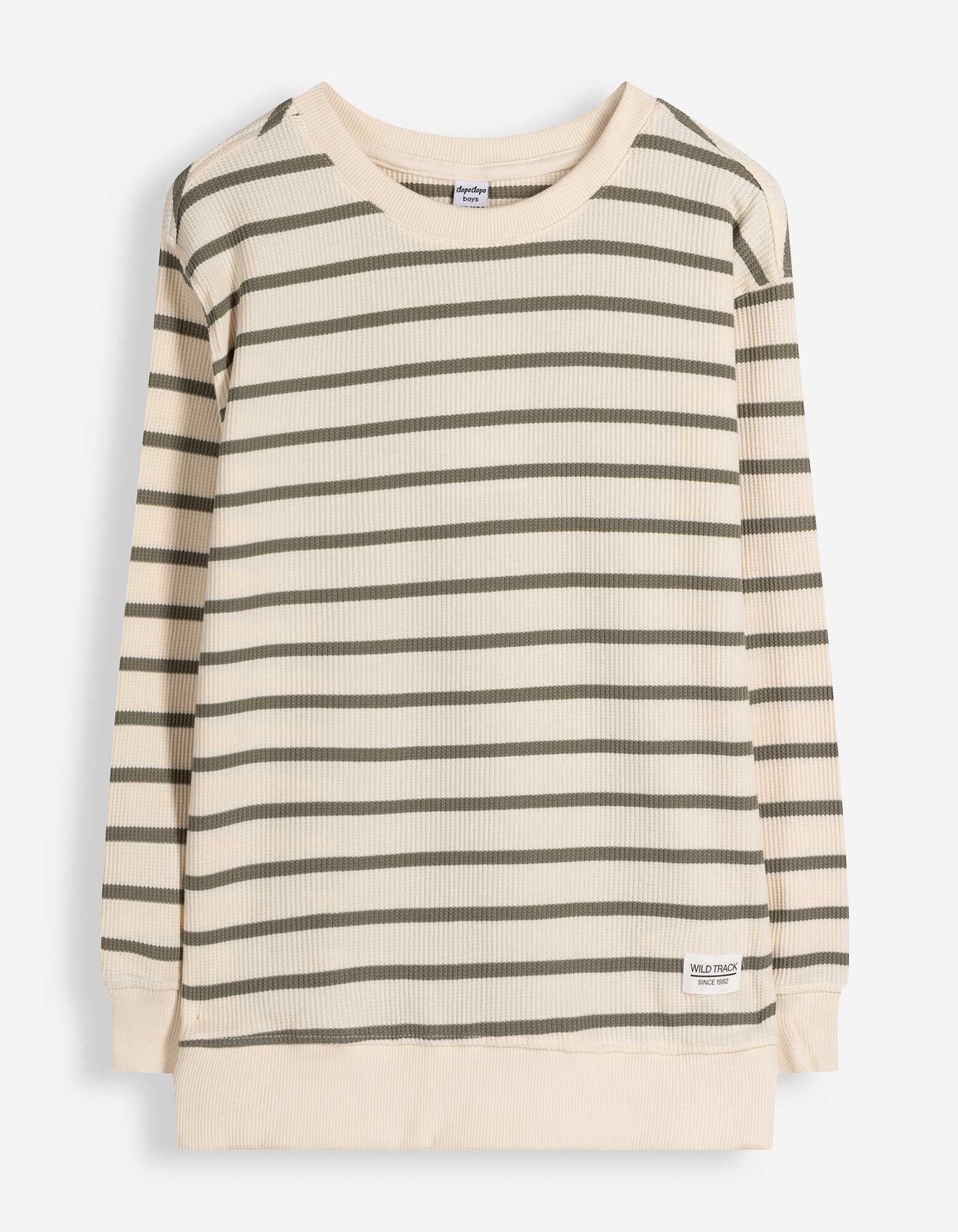 Sweatshirt - Streifen - Gr&uuml;n