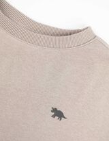 Trikotažinis megztinis - Su paveikslėliais - smelio spalvos