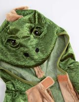 Kost&uuml;m - Drache&nbsp; -