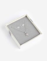 Set aus Kette und Ohrring - Geschenkset - silberfarben