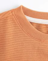 Trui - Viscose - lichtgrijs