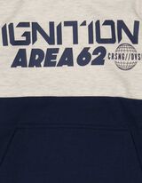 Pulover s kapuco - Potisk s sporočilom - svetlo siva