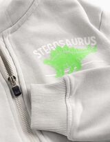 Sweatjacke - R&uuml;ckenprint - hellgrau