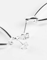 Kõrvarõngad - hobe