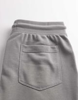 Short - Coupe Regular Fit - Gris