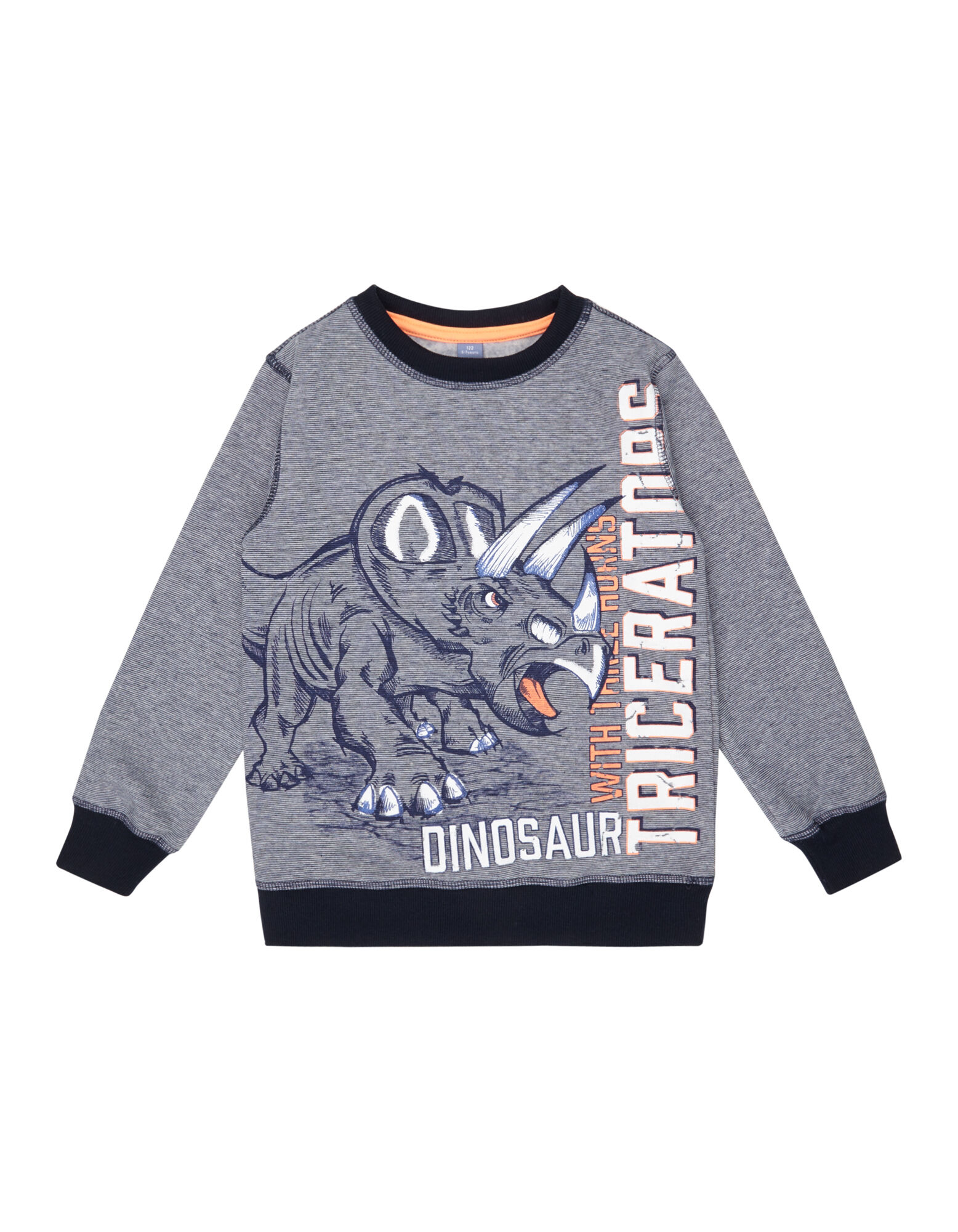 Jungen Sweatshirt mit Dino-Print