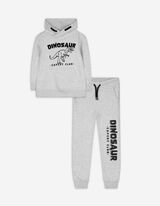 Set aus Sweatshirt und Hose - Print - hellgrau