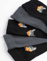 Calze - Confezione da 5 pezzi