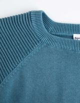 Megztinis - Prekės ženklas - melynas