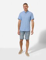 S&auml;rk - linasegu - helesinine