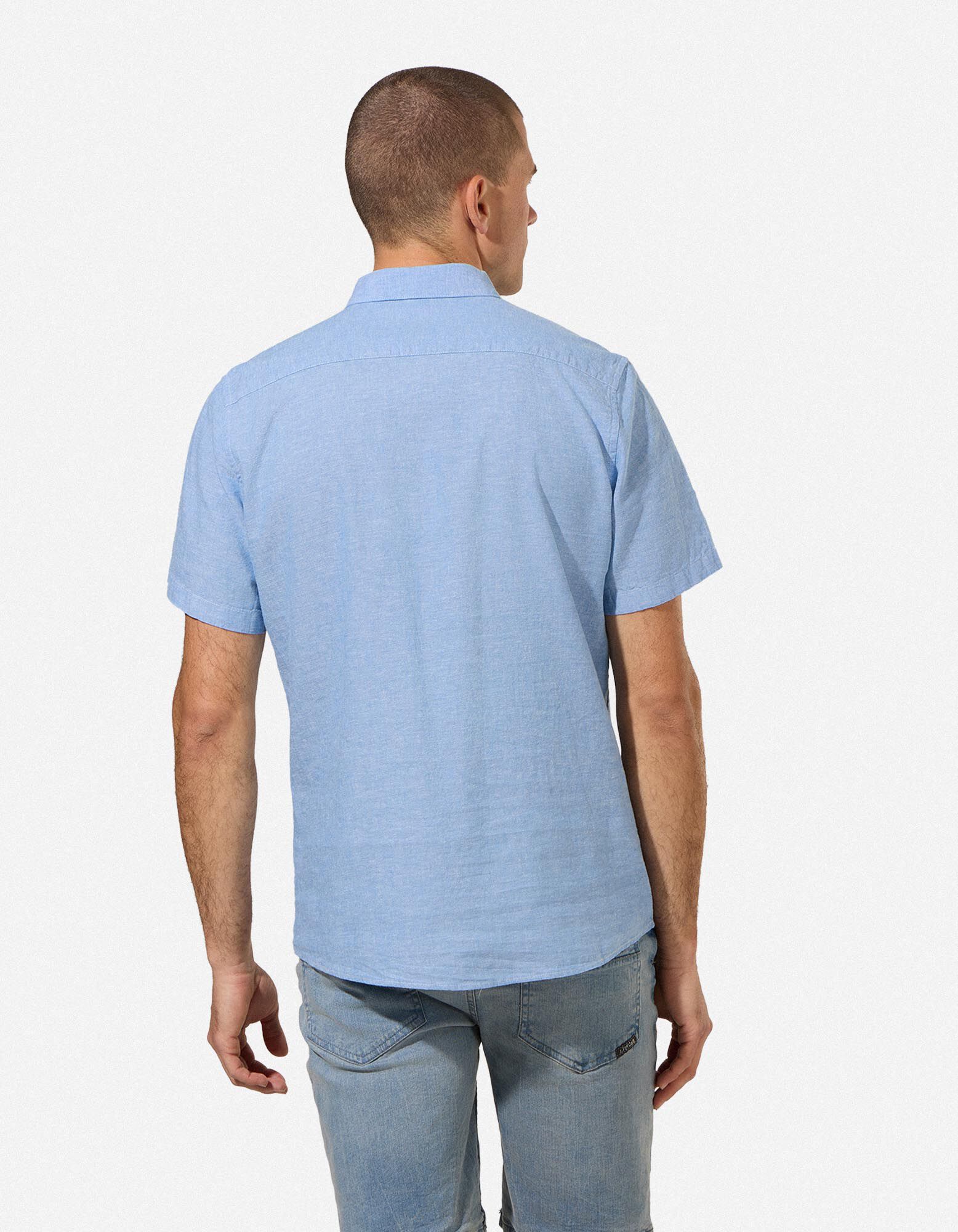 S&auml;rk - linasegu - helesinine