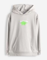 Sweatshirt - R&uuml;ckenprint - hellgrau