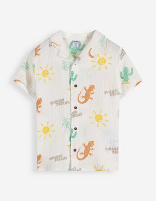 Ko&scaron;ile - Mu&scaron;el&iacute;n - b&iacute;l&aacute;