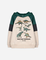 Hoodie - Dinosaurier - beige