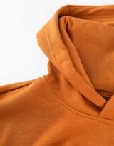 Pulover s kapuco - Potisk s sporočilom - rjava