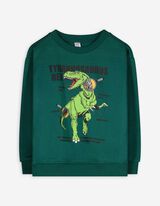 Sweatshirt - Frontprint - dunkelgrün