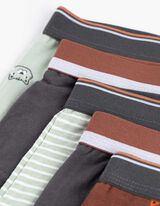 Gaćice - 5 u pakovanju