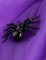 Kostuum - Halloween - Zwart