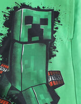 Šortai - Perdirbtas poliesteris - zalias