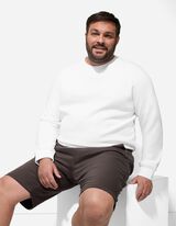 Shorts - Regular Fit - hellbraun