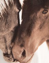 koszulka z długim rękawem - błyszczący nadruk - bialy