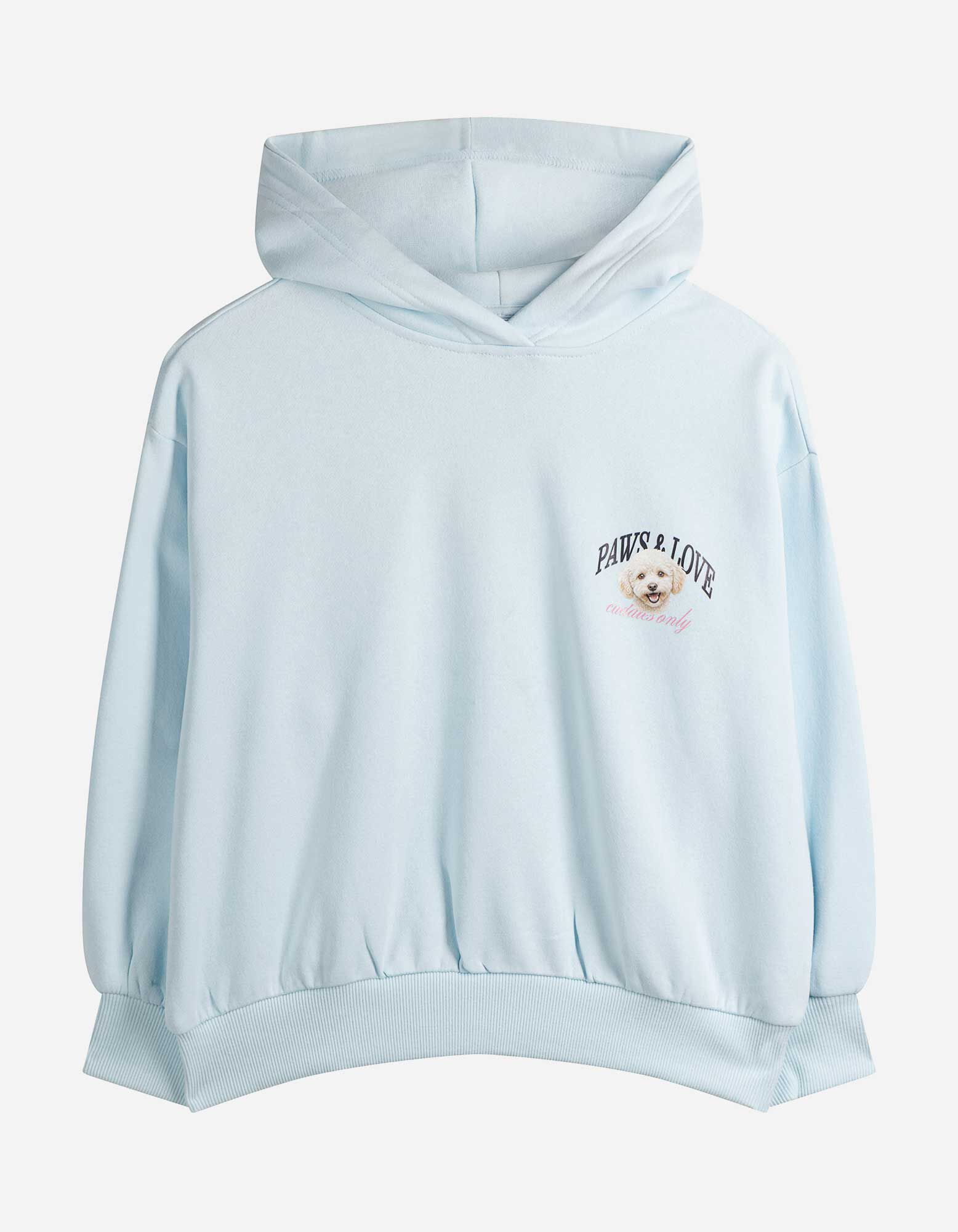 Sweatshirt - Voorkantprint - Lichtblauw