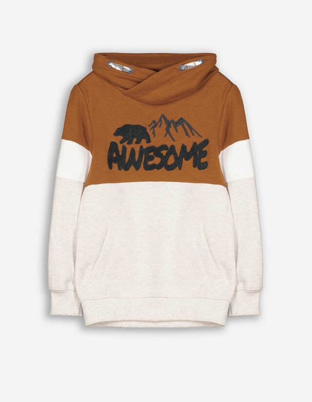 Sweatshirt - Schalkragen