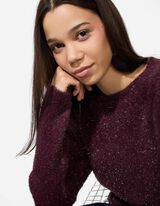 Pullover - dunkellila