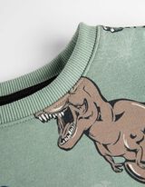 Dukserica - Dinosaurus - zeleno