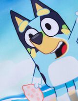 Plavky - Bluey - tyrkysovy