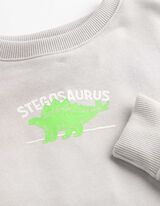 Sweatshirt - R&uuml;ckenprint - hellgrau