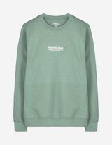 Sweatshirt - Rundhals-Ausschnitt - hellgrün