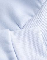 Sweatshirt - Troyer - lichtblauw