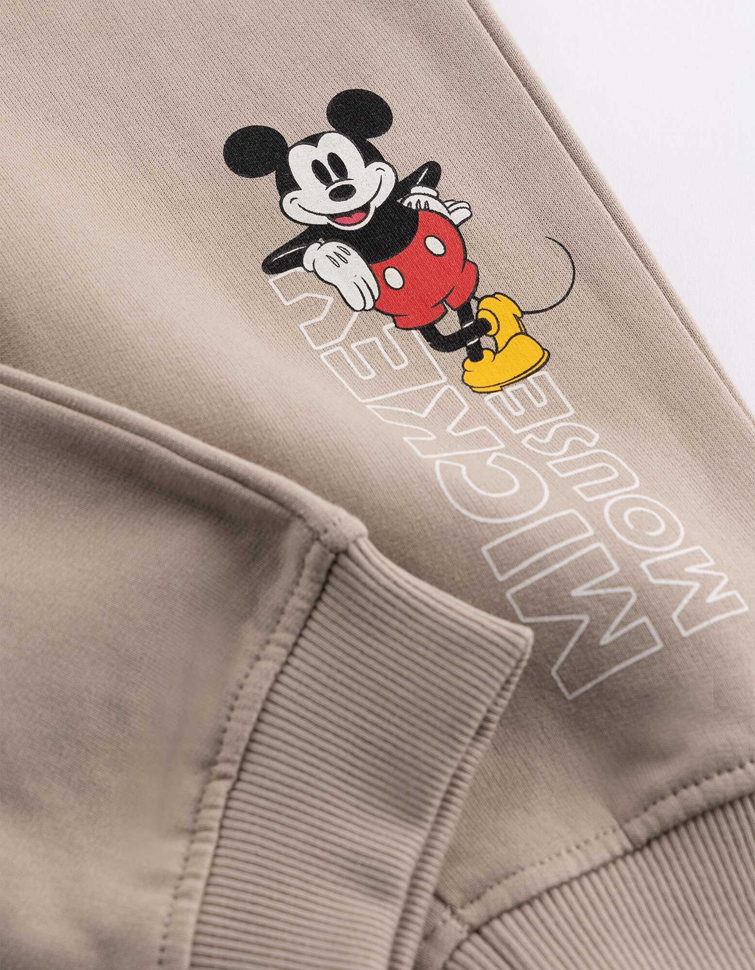 Tepl&aacute;ky - Mickey Mouse - B&eacute;žov&aacute;