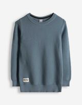 Pullover - Labelpatch - hellblau